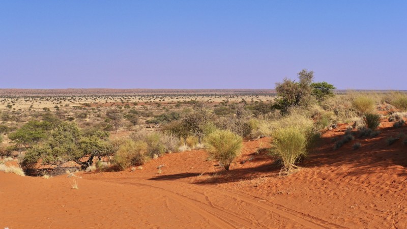 Red Sand Dunes, Kalahari