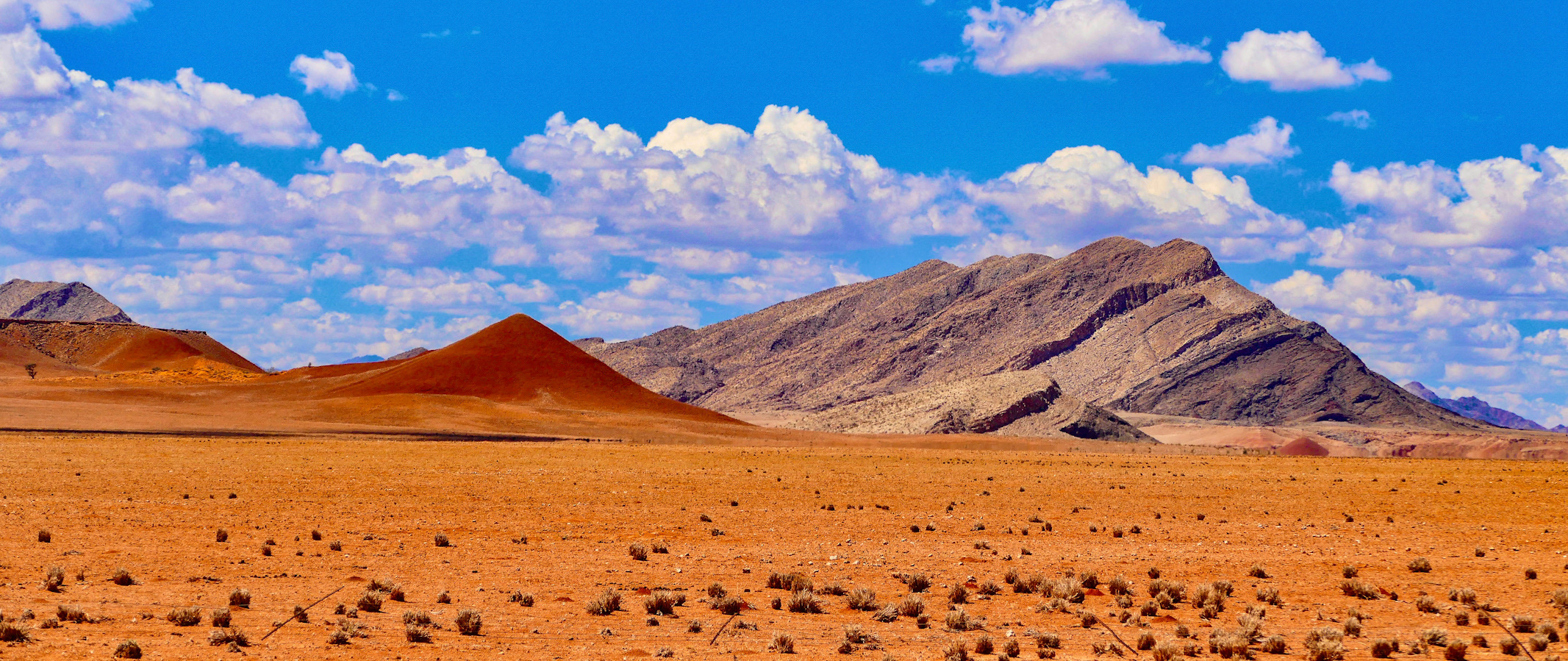 Colorful Namib Desert