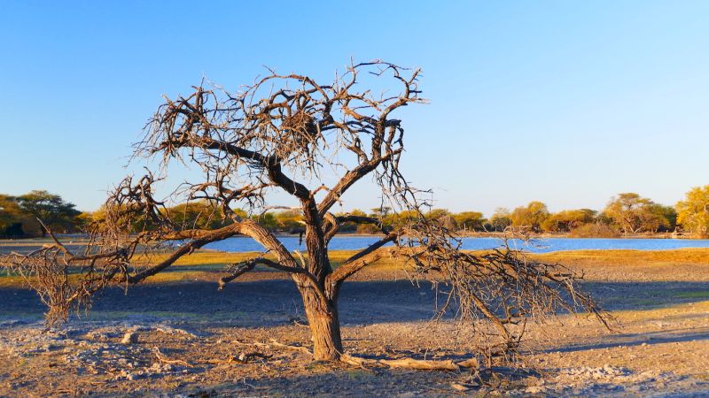 La Rochelle Lodge: Lodge in Etosha East and Tsumeb