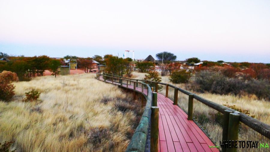 Galton Gate Etosha National Park National Park in Etosha West