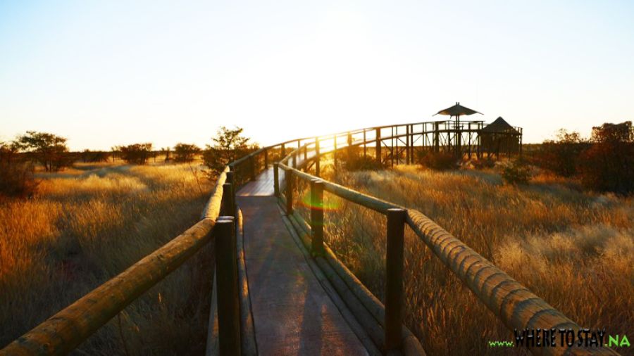 Galton Gate Etosha National Park National Park in Etosha West
