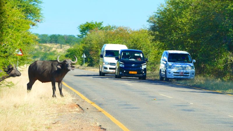 Victoria Falls Zambia