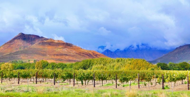 Winelands