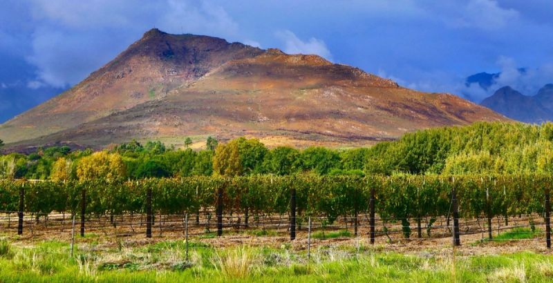 Winelands