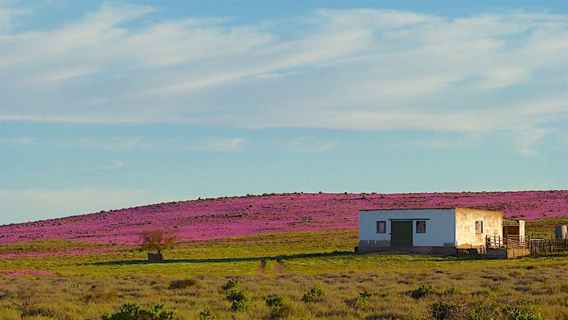 Namaqua West Coast