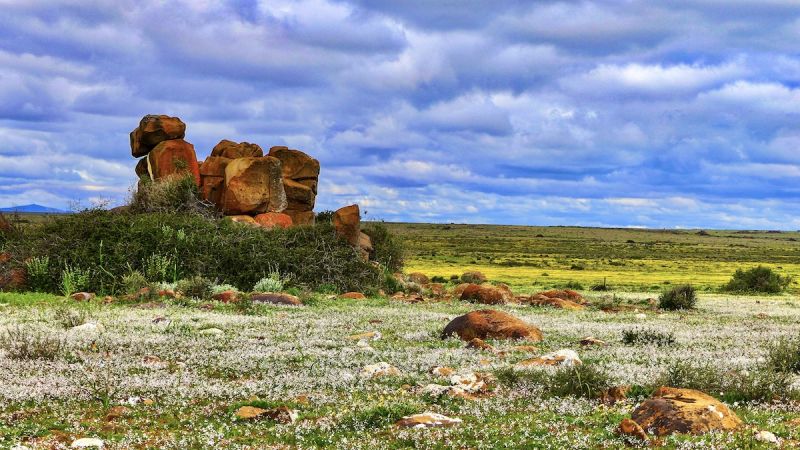 Namaqua West Coast