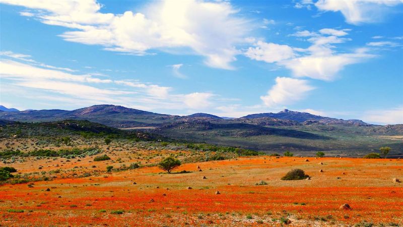 Namaqualand