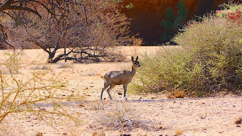 Erongo Mountains