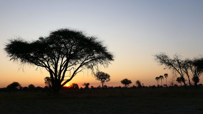 Hwange National Park