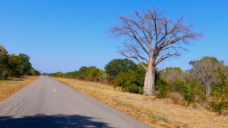 Zambezi National Park