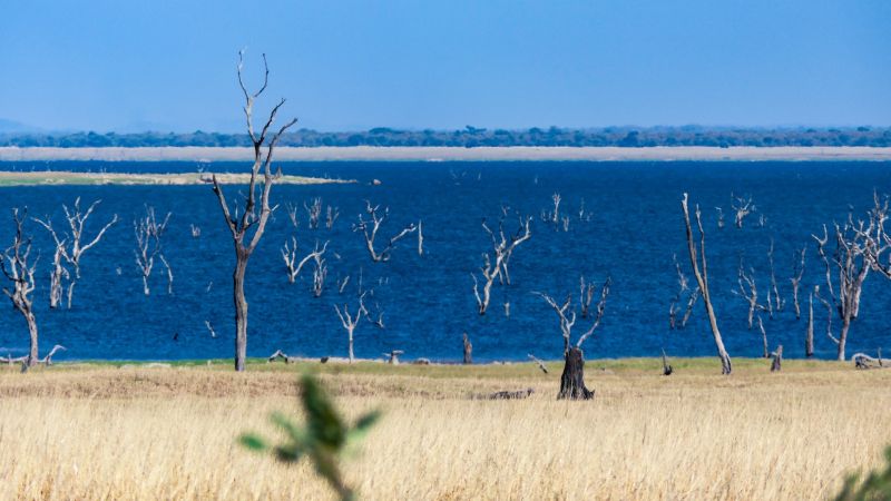 Kafue