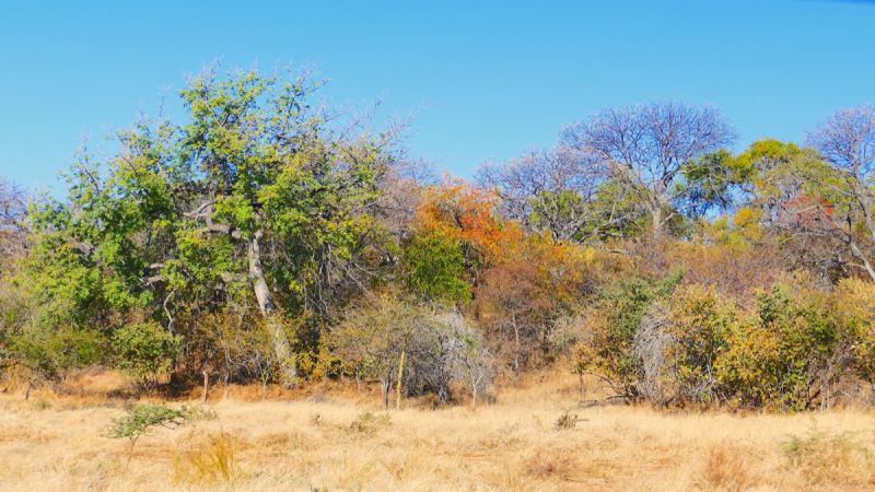 Otavi Mountains