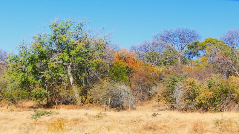 Otavi Mountains