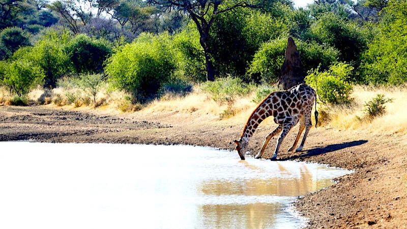 Waterberg