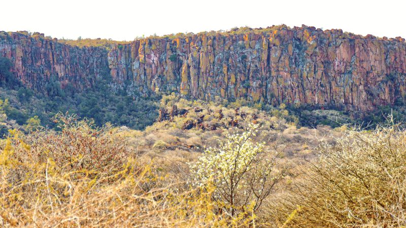 Waterberg