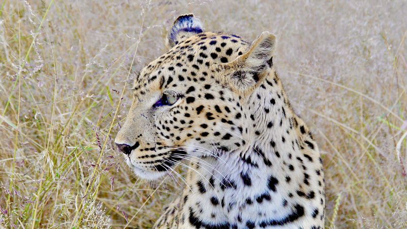 Etosha East and Tsumeb