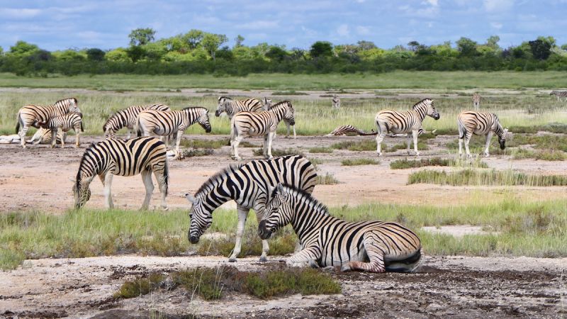 Etosha