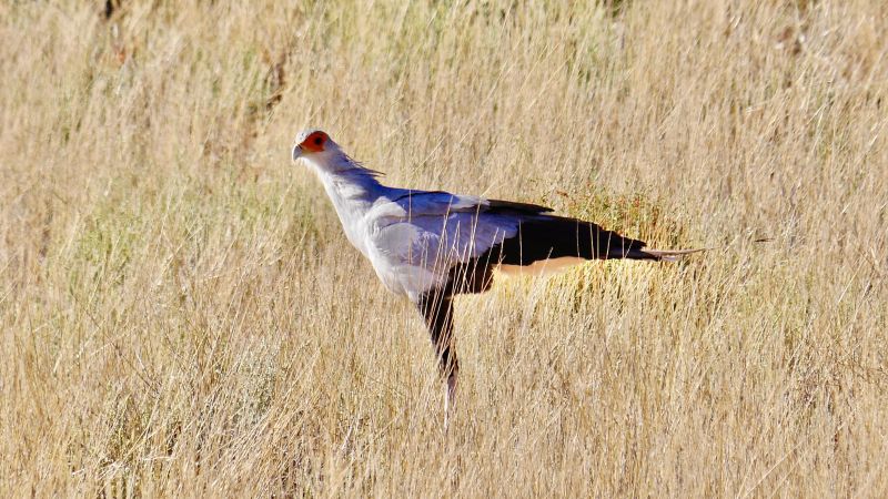 Etosha South