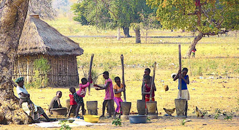 Okavango West
