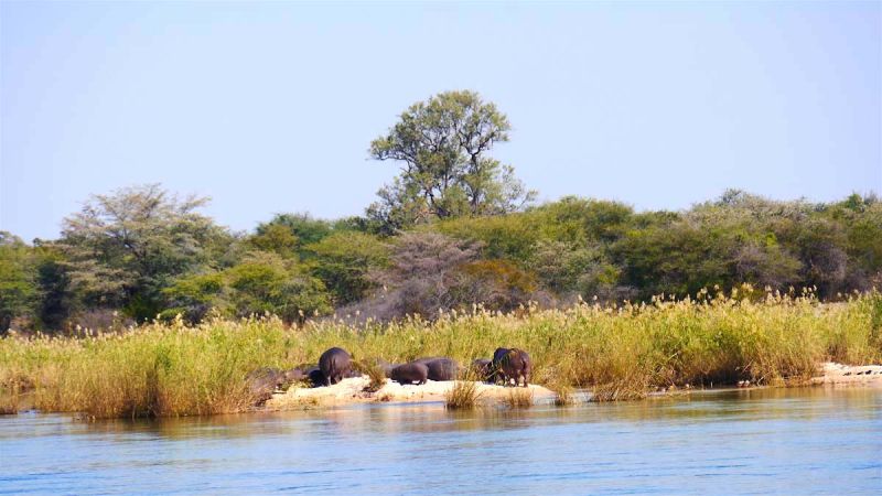 Okavango Panhandle