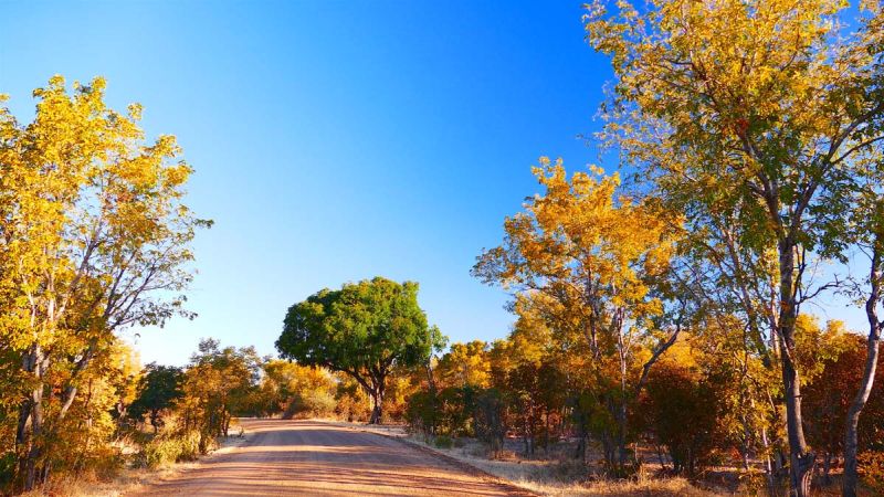 Okavango Panhandle