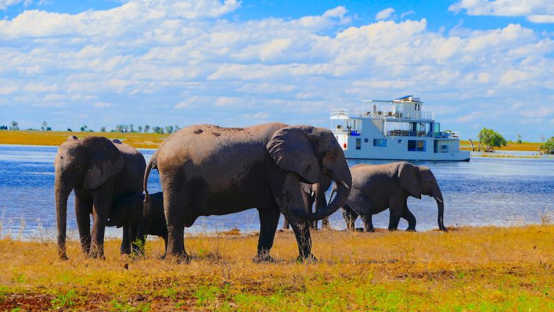 Chobe Botswana