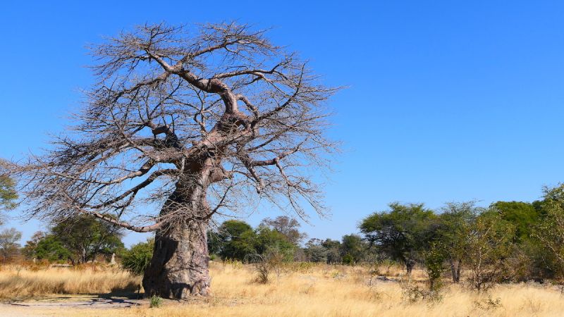 Zambezi / Katima Mulilo