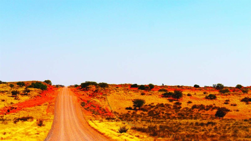 Red Kalahari