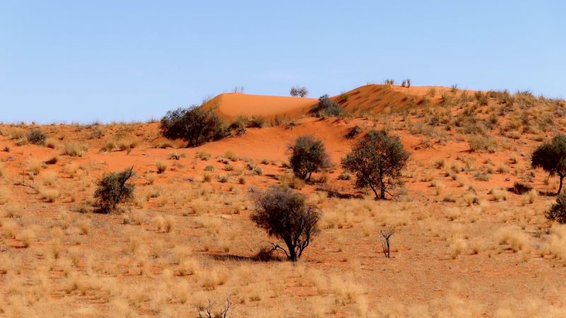 Kgalagadi Transfrontier Park