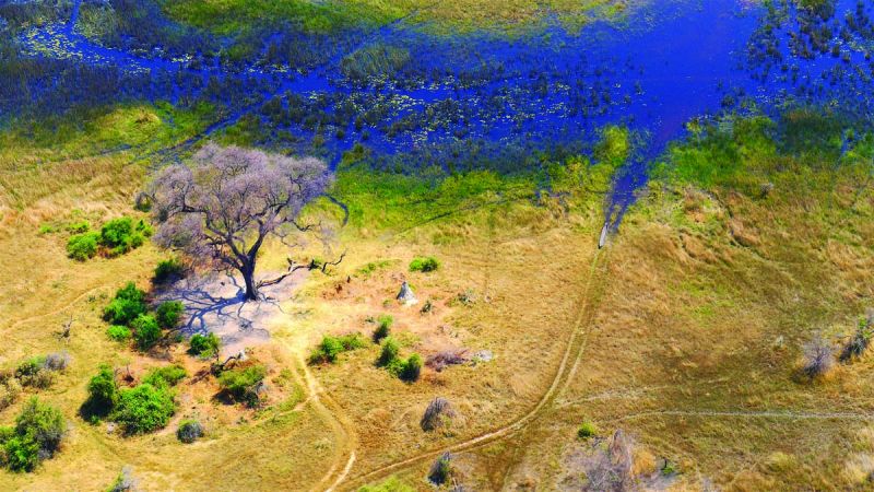 Okavango Delta