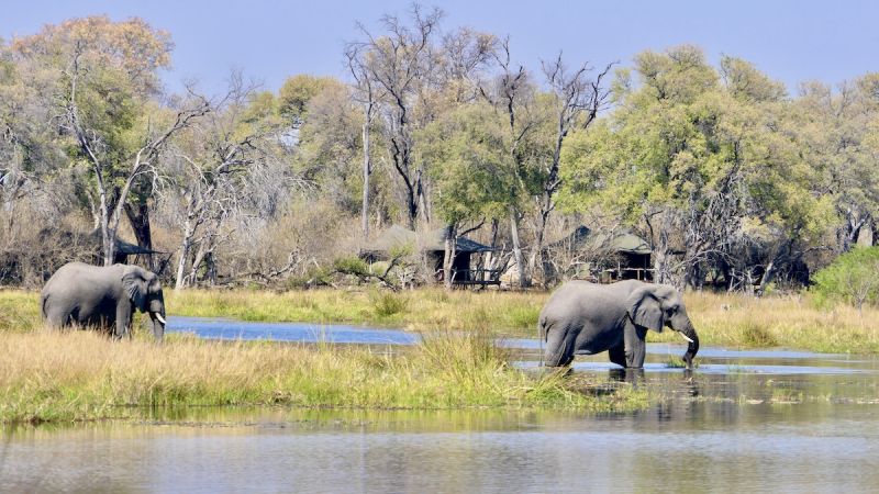 Okavango Delta