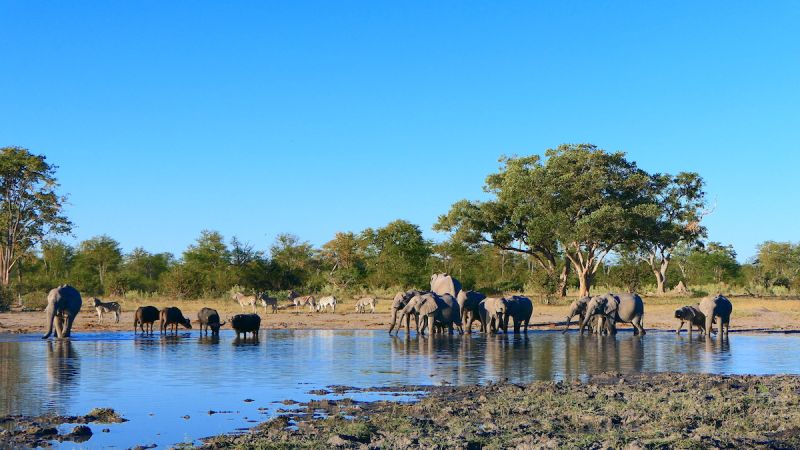 Okavango Delta