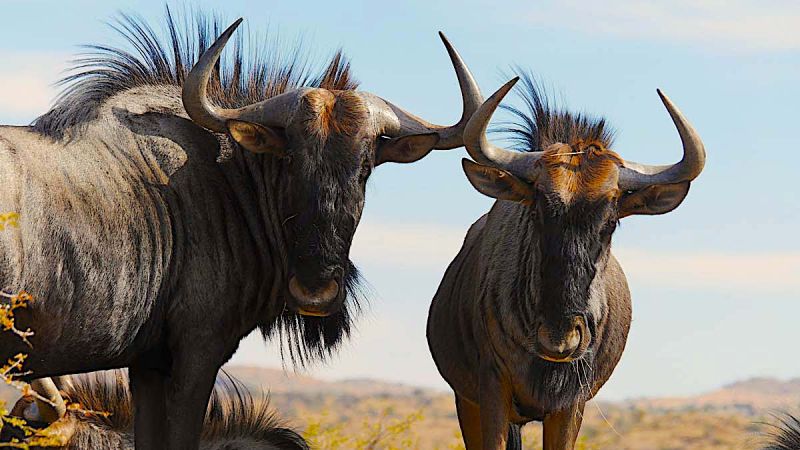 Windhoek Surrounds South