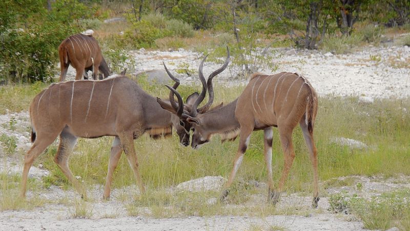 Windhoek Surrounds South