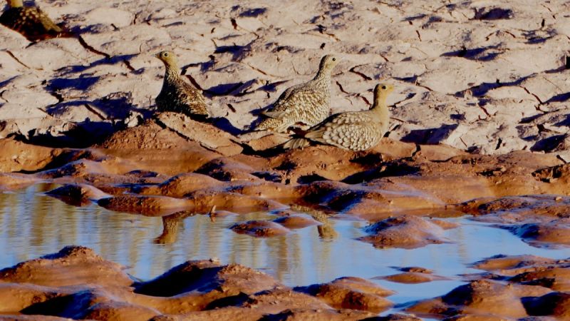 Fish River Canyon