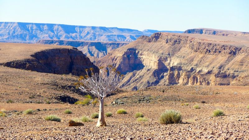 Fish River Canyon