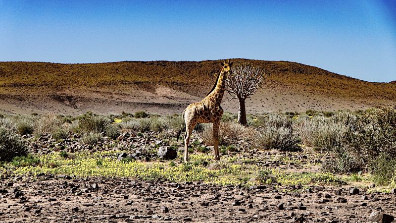 Fish River Canyon