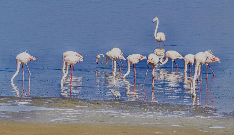 Walvis Bay