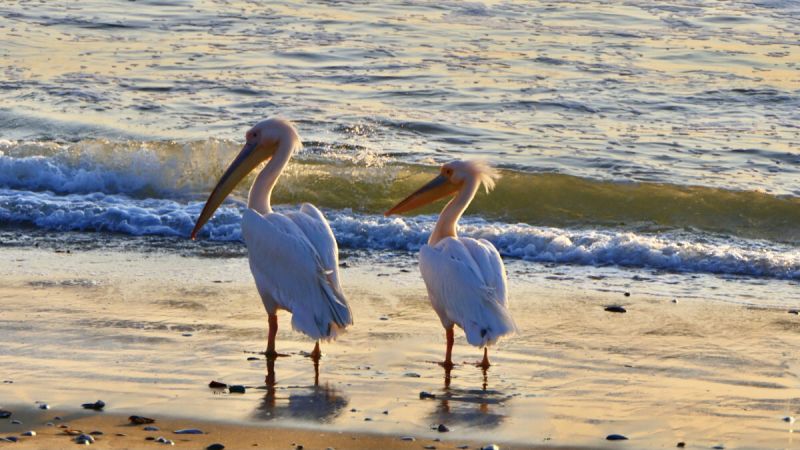 Swakopmund South