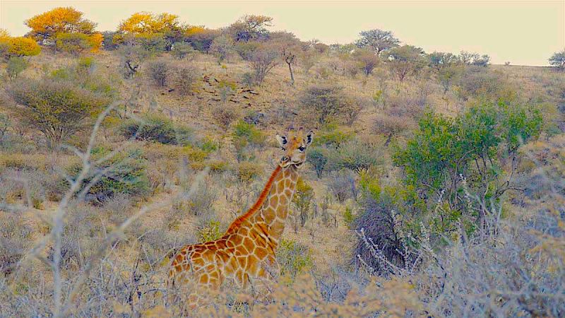 Khomas Hochland / Windhoek Surrounds North