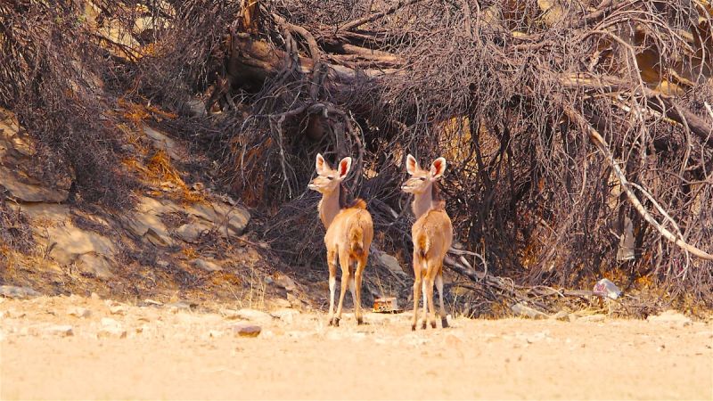 Khomas Hochland / Windhoek Surrounds North