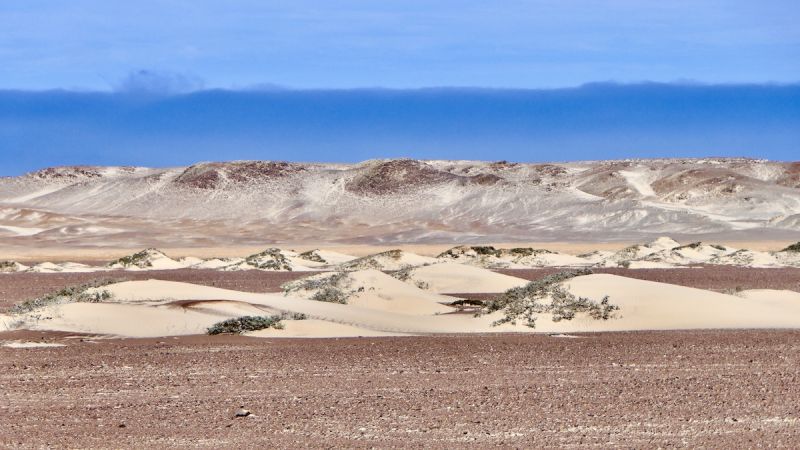 Skeleton Coast