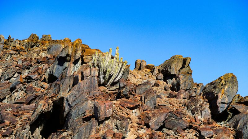 Skeleton Coast