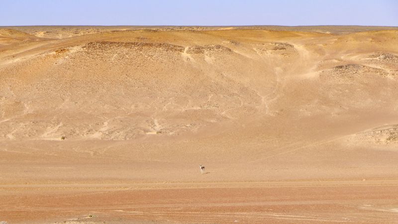 Skeleton Coast