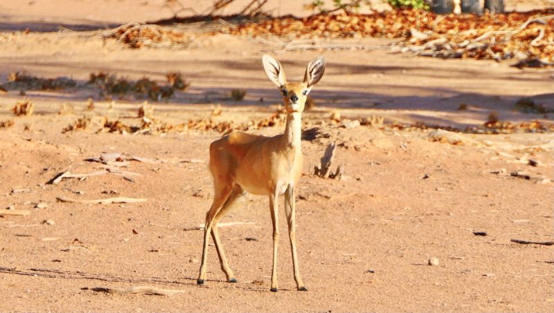 Twyfelfontein