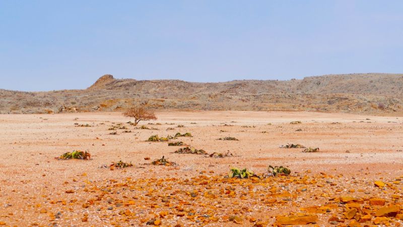 Twyfelfontein