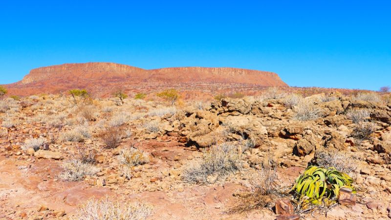 Petrified Forest