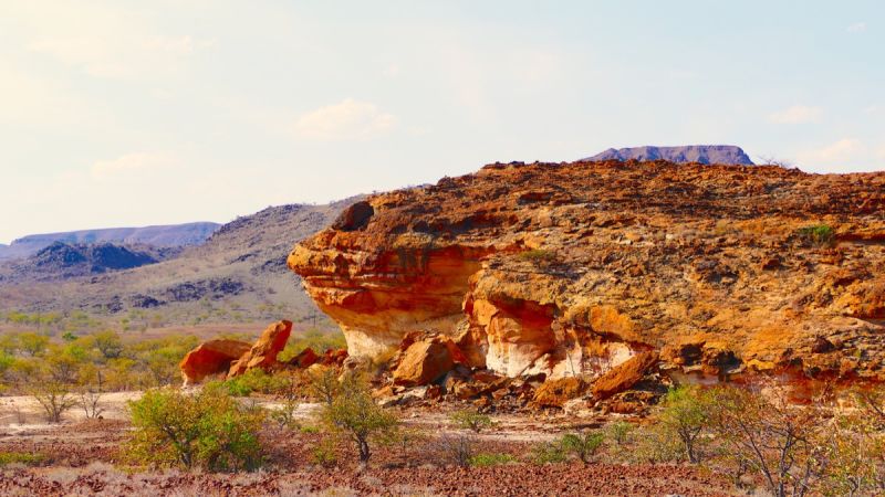 Petrified Forest