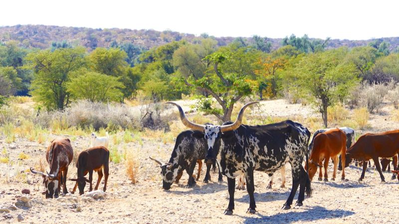 Kunene / North West Namibia