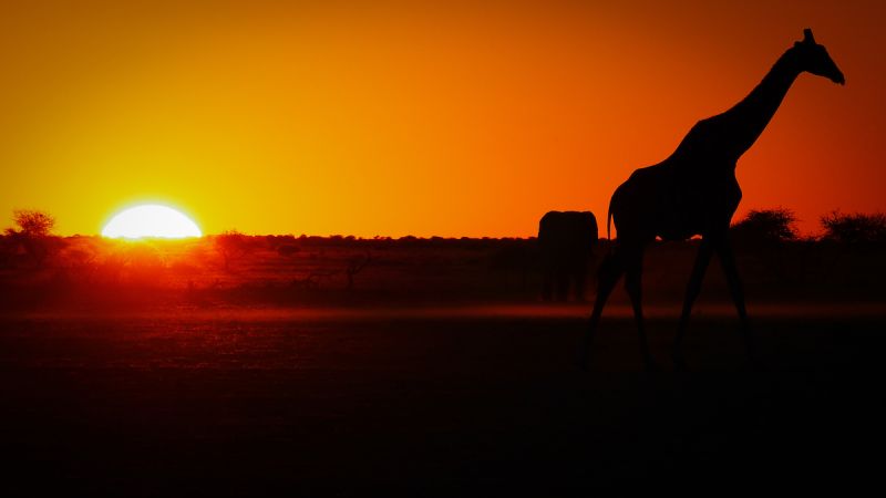 Makgadikgadi Pans